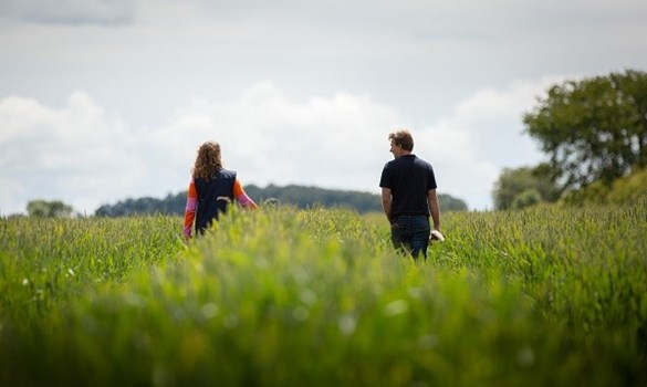 A man and woman walking through a field